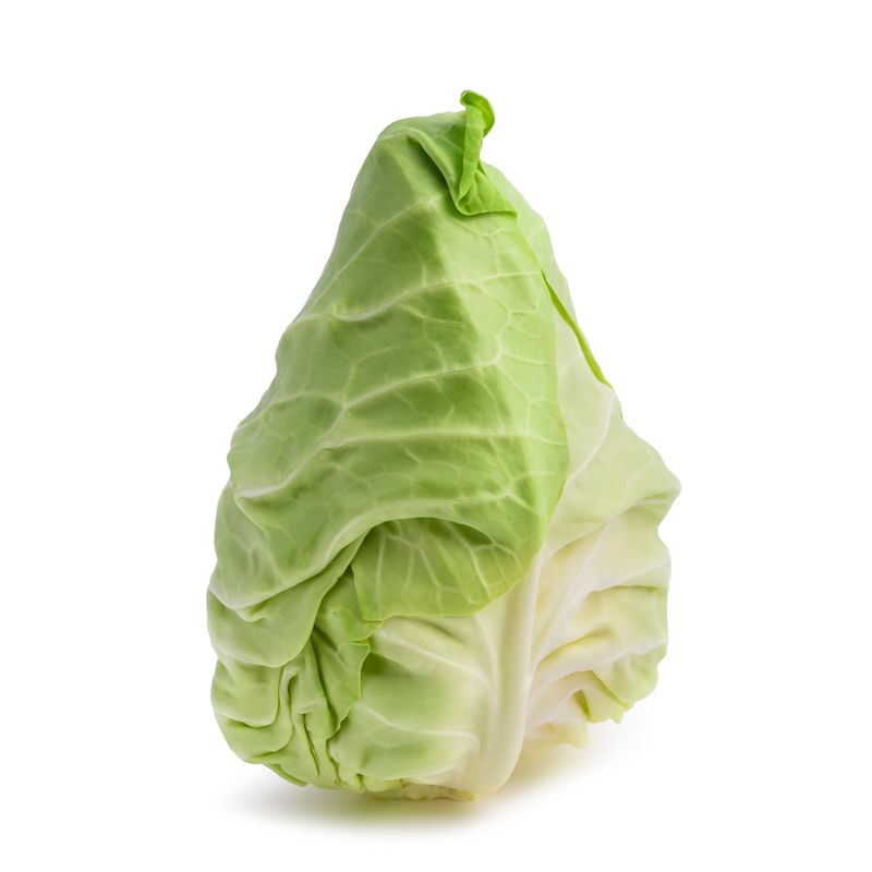 Hispi Cabbage
